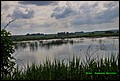 IMG_6973.jpg
