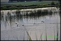 IMG_6974.jpg