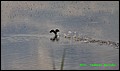 IMG_6975.jpg