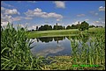 IMG_6977.jpg