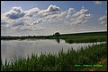 IMG_6979.jpg