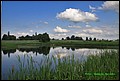 IMG_6982.jpg