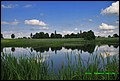 IMG_6983.jpg