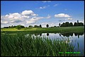 IMG_6985.jpg