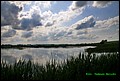 IMG_6988.jpg