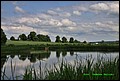 IMG_6991.jpg