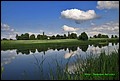 IMG_6992.jpg