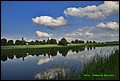 IMG_6995.jpg