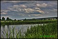 IMG_7003.jpg