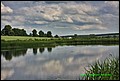 IMG_7004.jpg