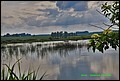 IMG_7008.jpg