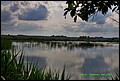IMG_7009.jpg