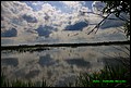 IMG_7011.jpg