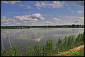 IMG_7019.jpg
