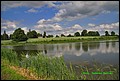 IMG_7020.jpg