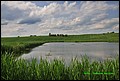 IMG_7023.jpg