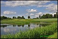 IMG_7024.jpg