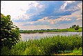 IMG_7025.jpg
