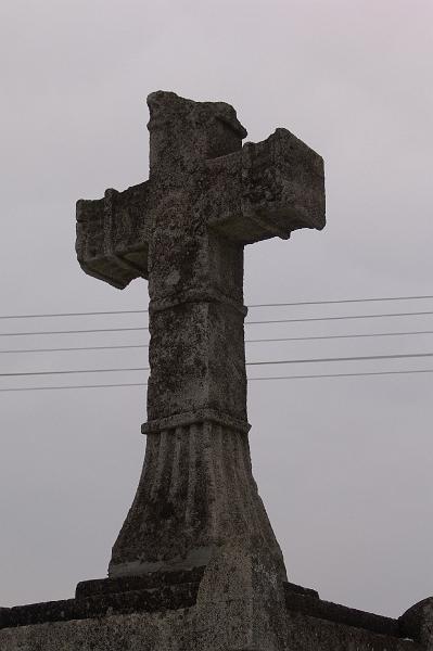 141.jpg