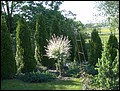 DSC03254.JPG