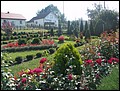 DSC04397.JPG