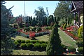 DSC07315.jpg