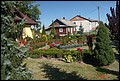 DSC07331.jpg