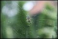 Obraz-06-08-2011 036.jpg